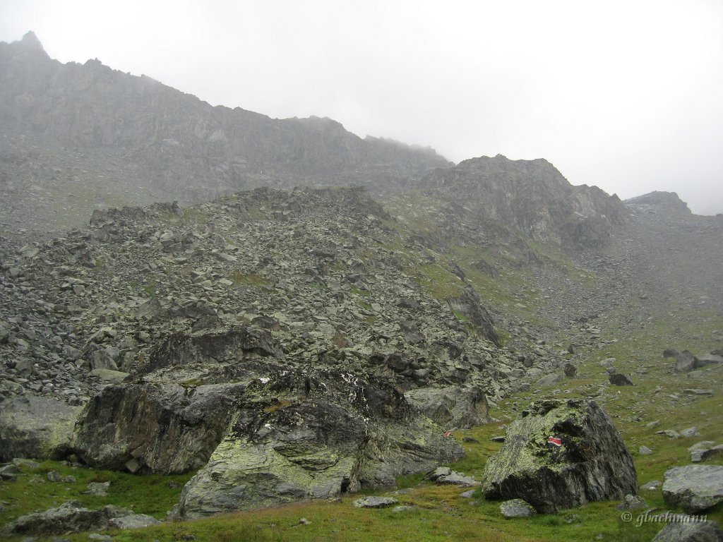 20070807_126
